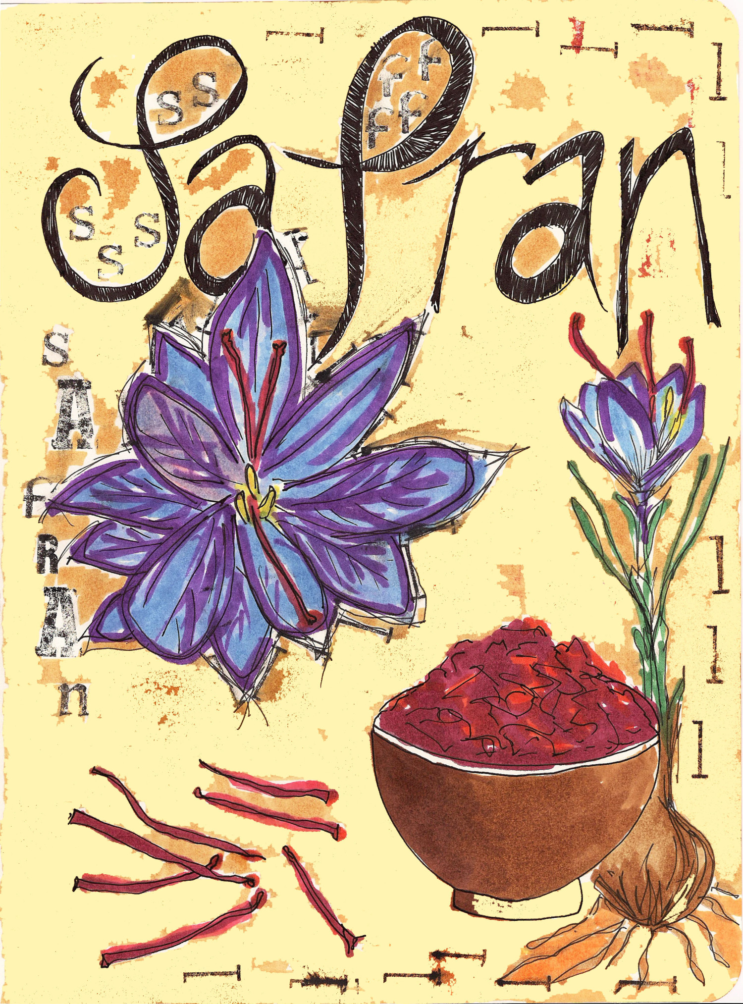 Food Illustrations