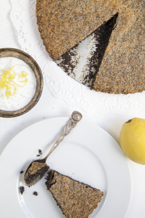 Picture for Juicy Poppy Seed Tart from the new Suppito Cookbook