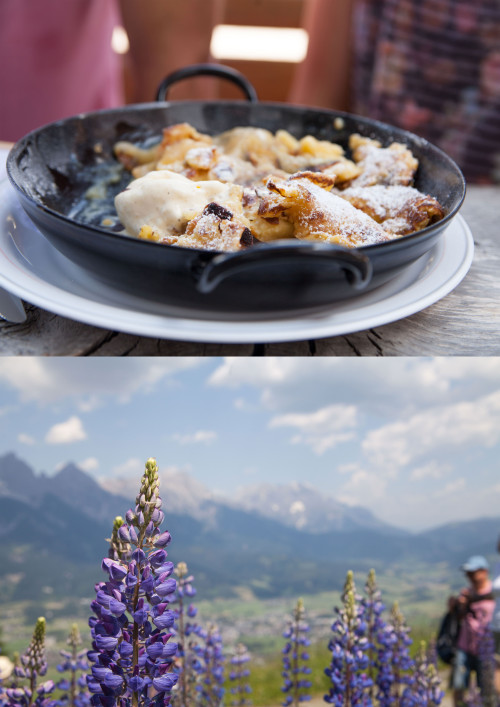 Picture for Culinary Delights at the Forsthofgut